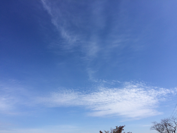 f0362457_21345970.jpg