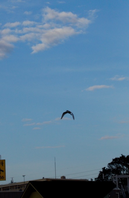 a0248459_15200374.jpg
