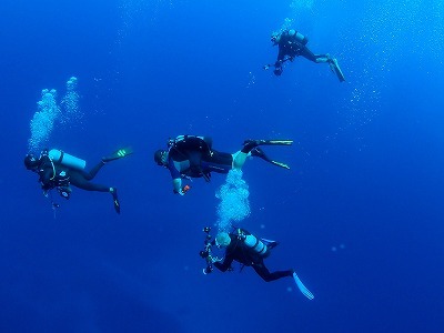 11月18日 天気・海況おだやか_d0113459_19111137.jpg