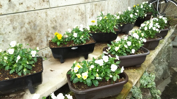 e0179259_20130816.jpg