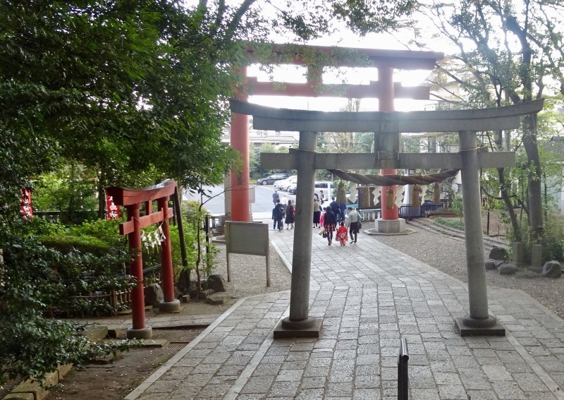 スローな写真たち_d0244370_12405003.jpg