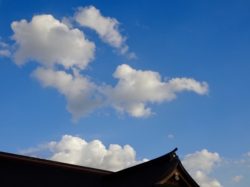 スローな写真たち_d0244370_12411901.jpg
