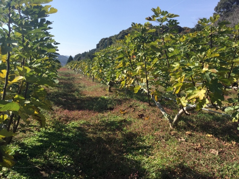 b0339572_20511210.jpeg