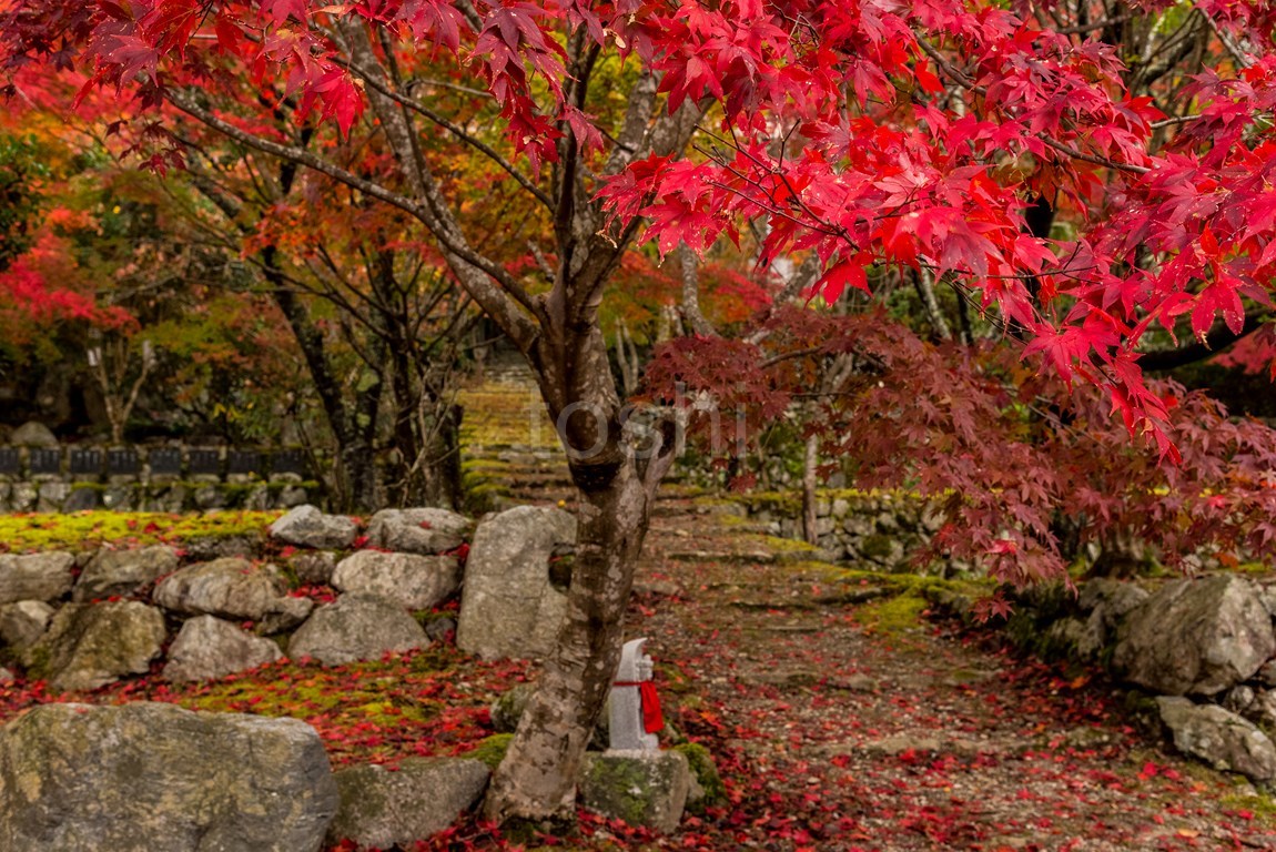 ある山奥のお寺_c0350572_13123707.jpg