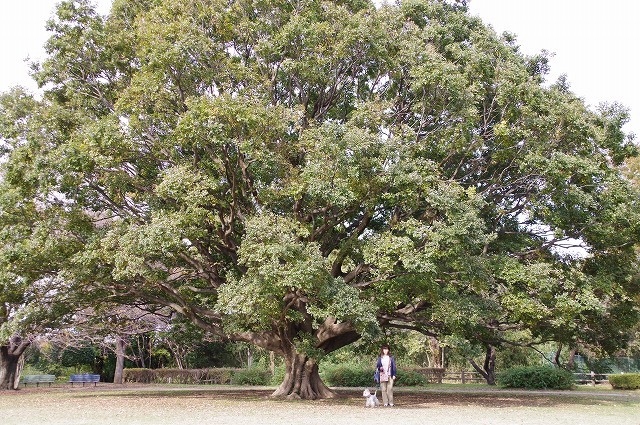 f0169884_16151897.jpg