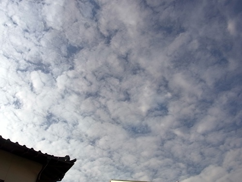 e0086885_15013159.jpg