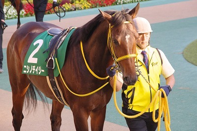 東京スポーツ杯２歳Ｓは大接戦を制したニシノデイジーが重賞２連勝を飾る_b0015386_00303753.jpg