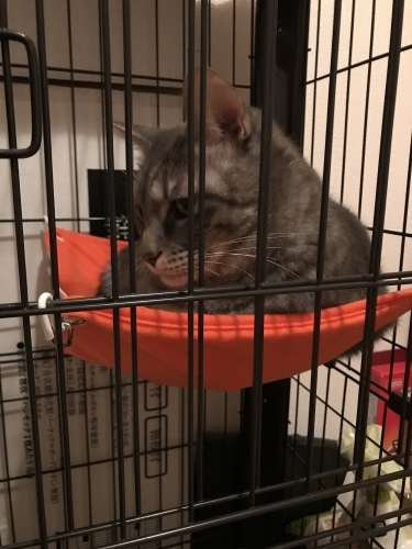 c0340786_00040556.jpeg
