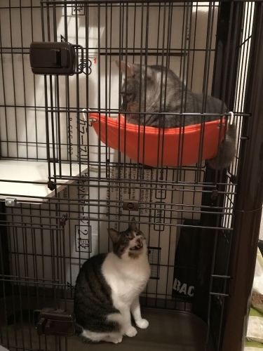 c0340786_00052285.jpeg