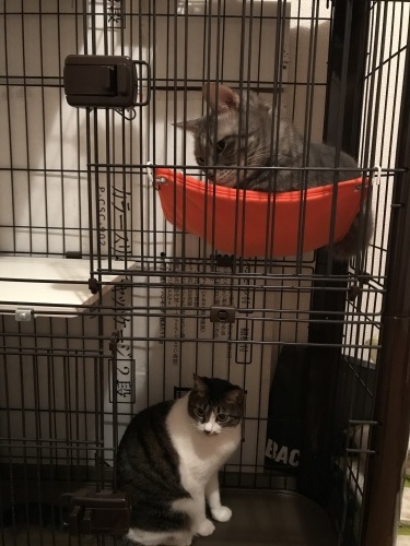 c0340786_00101439.jpeg