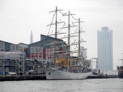 b0192588_8164186.jpg