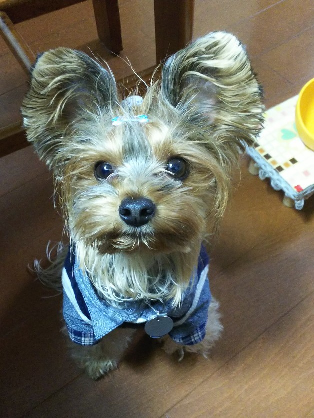 c0191390_20215699.jpg