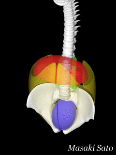 f0074992_15571935.gif
