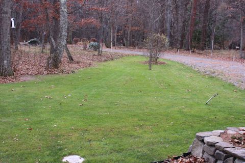 c0090198_18143227.jpg