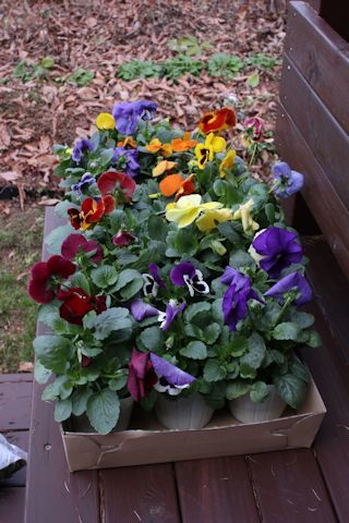 c0090198_18231671.jpg