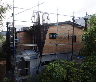 c0039501_16294895.jpg