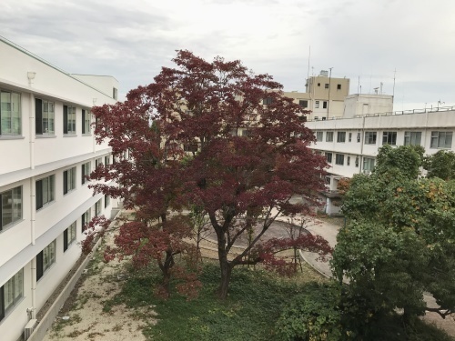 半端ないって・・・学生との清掃活動2_a0346704_14363604.jpg