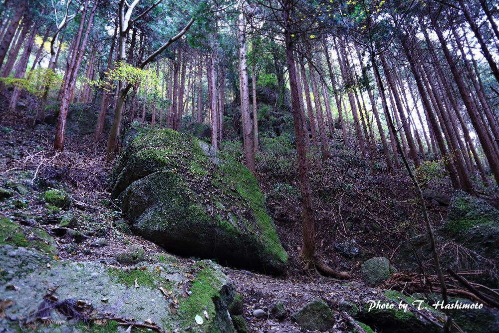 d0334006_16303729.jpg