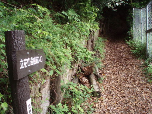 f0196109_23215526.jpg