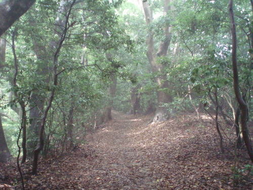 f0196109_23225523.jpg