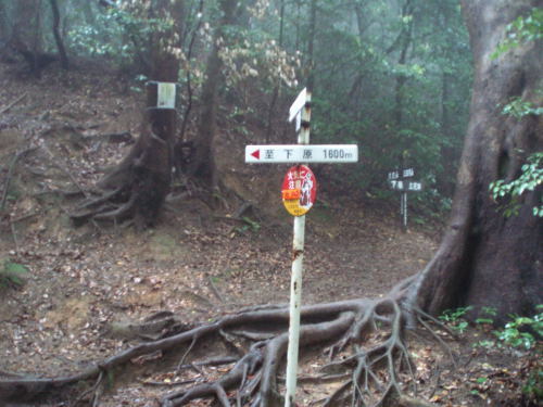 f0196109_23254688.jpg