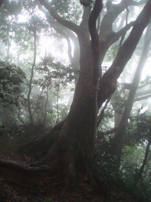 f0196109_23260794.jpg