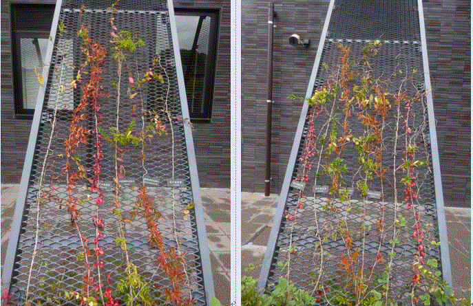f0231709_23391645.gif