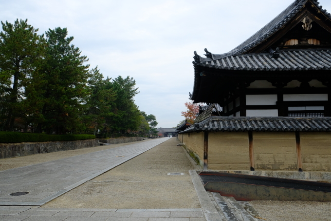 奈良の旅 その1_e0000910_14045102.jpg