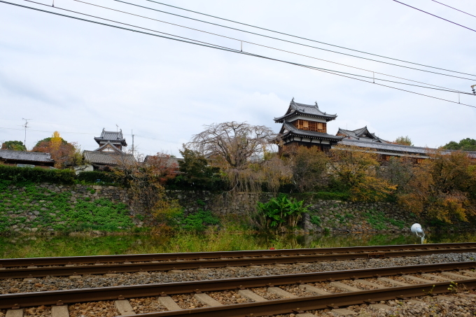 奈良の旅 その1_e0000910_14114907.jpg