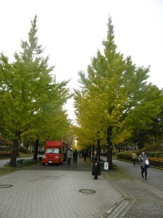b0146611_21332932.jpg