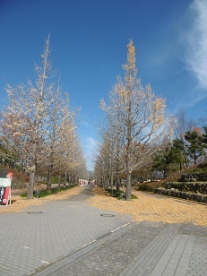 b0146611_21352433.jpg