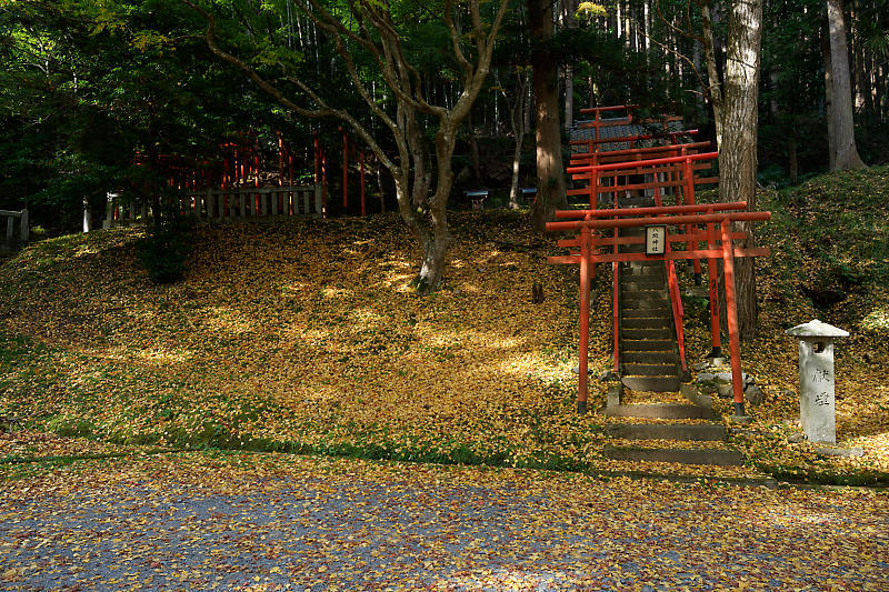 2018京都の紅葉・京丹波 導観稲荷神社_f0032011_20384947.jpg