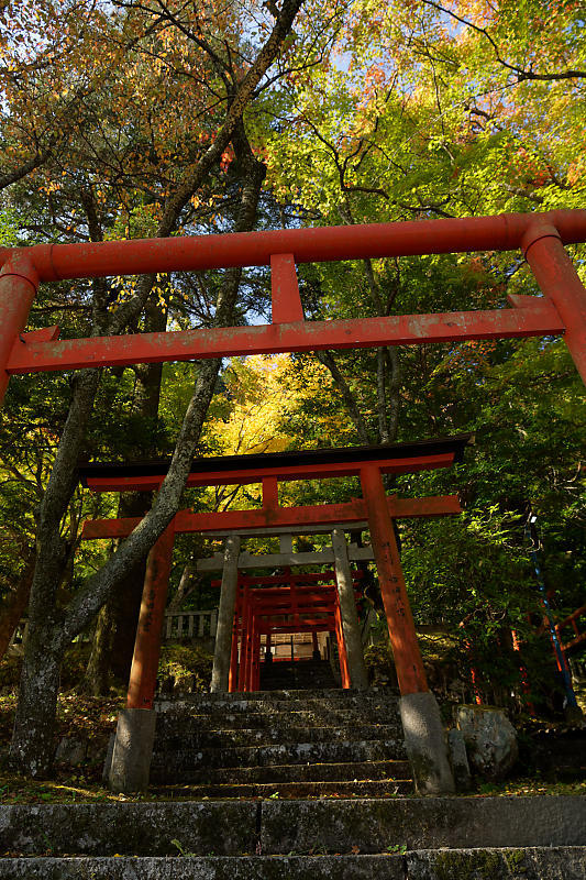 2018京都の紅葉・京丹波 導観稲荷神社_f0032011_20384951.jpg
