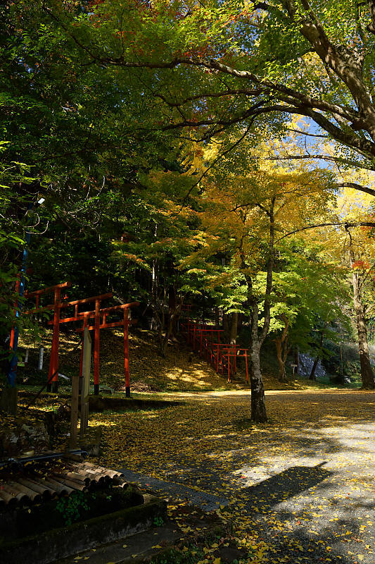 2018京都の紅葉・京丹波 導観稲荷神社_f0032011_20384996.jpg