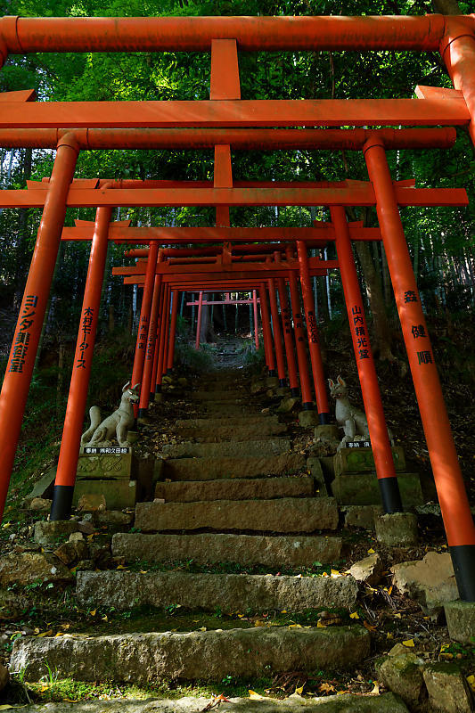 2018京都の紅葉・京丹波 導観稲荷神社_f0032011_20413908.jpg