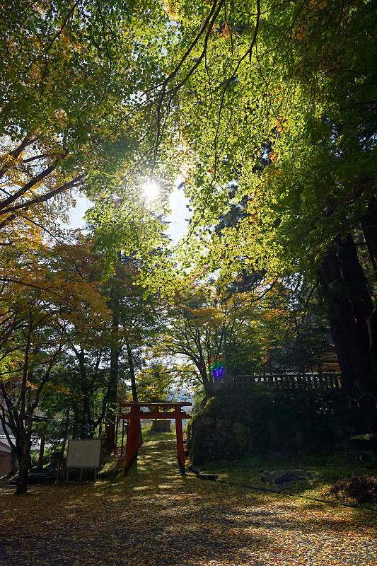 2018京都の紅葉・京丹波 導観稲荷神社_f0032011_20413996.jpg