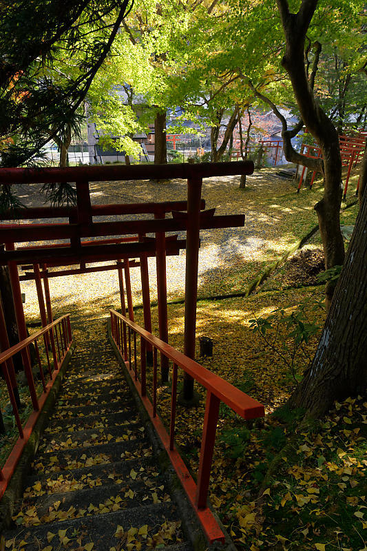 2018京都の紅葉・京丹波 導観稲荷神社_f0032011_21110553.jpg
