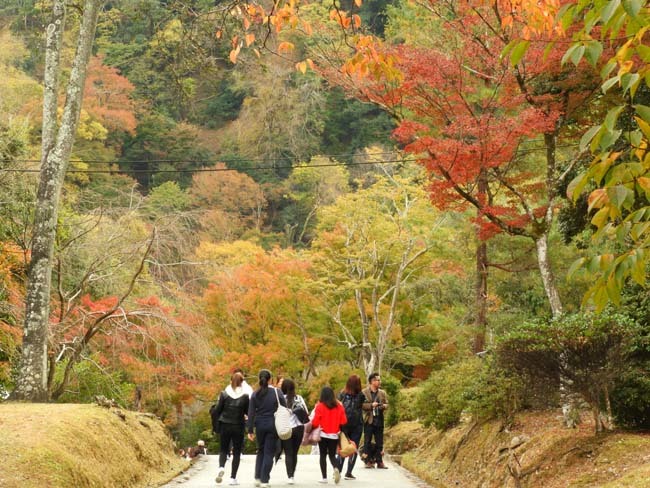 竹林の道を通って亀山公園へ_e0048413_19494589.jpg