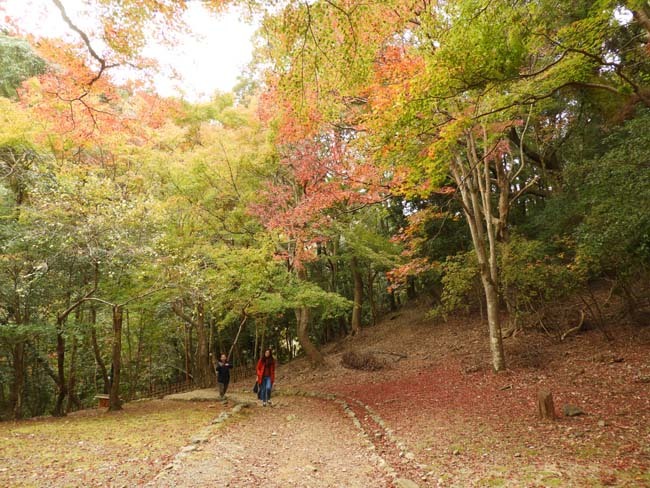 竹林の道を通って亀山公園へ_e0048413_19500089.jpg