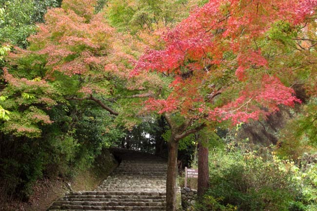 竹林の道を通って亀山公園へ_e0048413_19501786.jpg