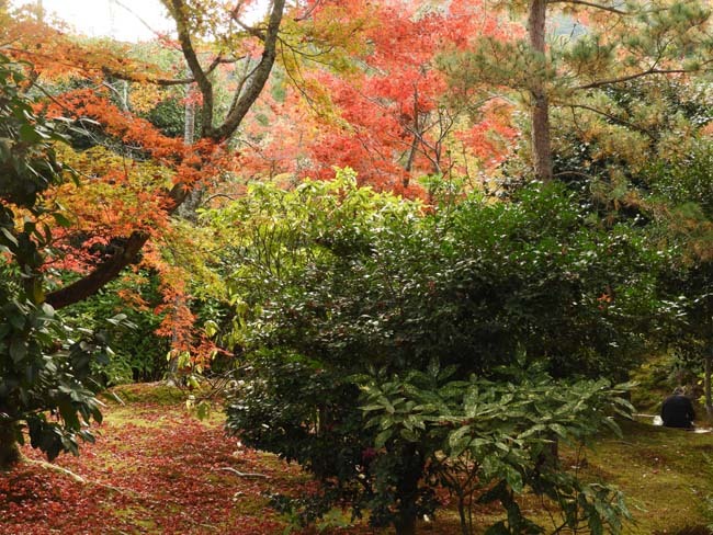 嵐山　天龍寺紅葉の盛り_e0048413_21304235.jpg