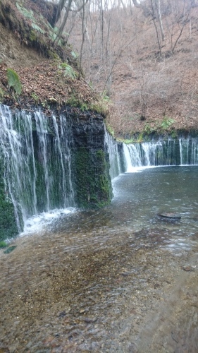 e0058913_10162667.jpg