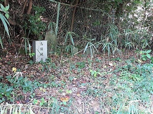 b0275715_18065436.jpg