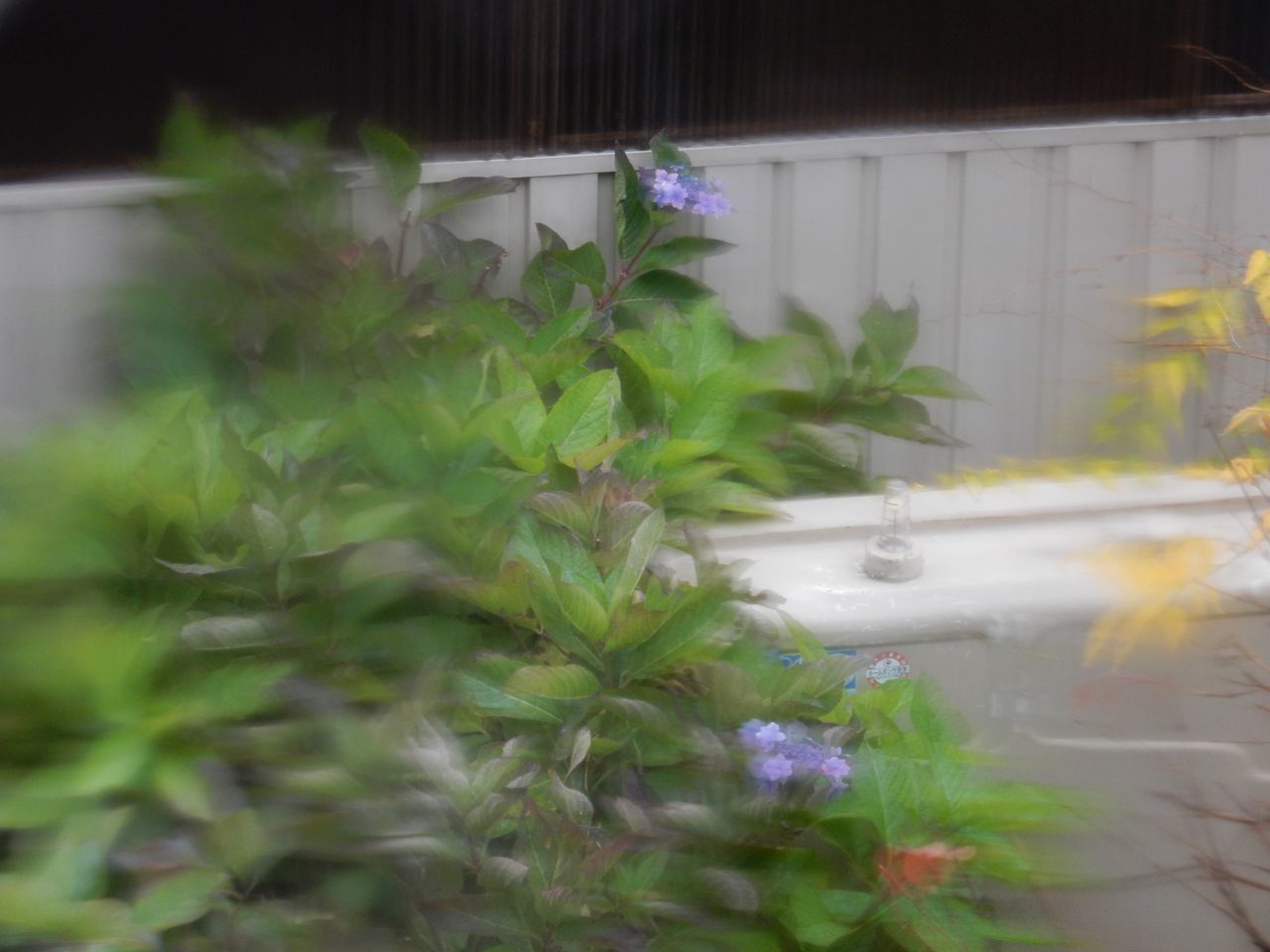 今日はアラレまでか_c0025115_22380246.jpg