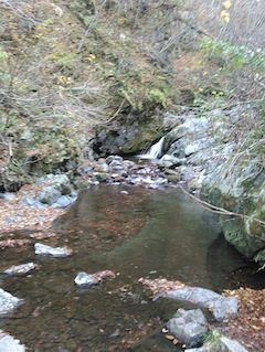 c0359615_21583670.jpg
