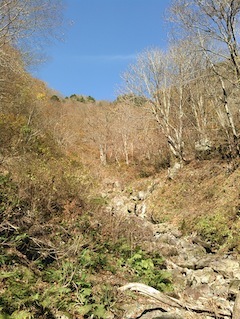 c0359615_21585809.jpg