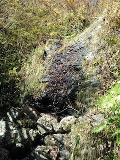 c0359615_22015771.jpg