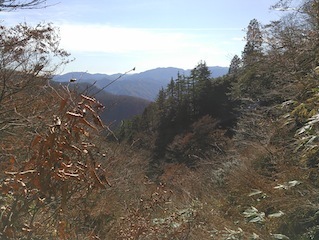c0359615_22055908.jpg