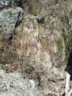 c0359615_22060927.jpg