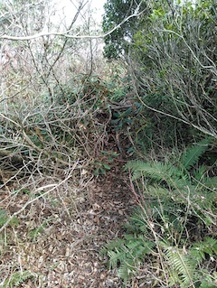 c0359615_22062901.jpg